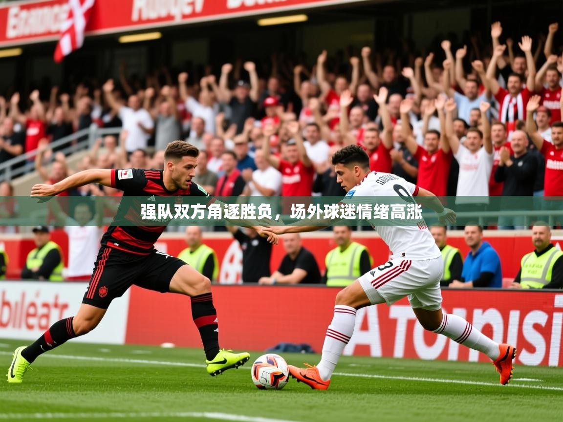 2025米兰体育下载强队双方角逐胜负，场外球迷情绪高涨