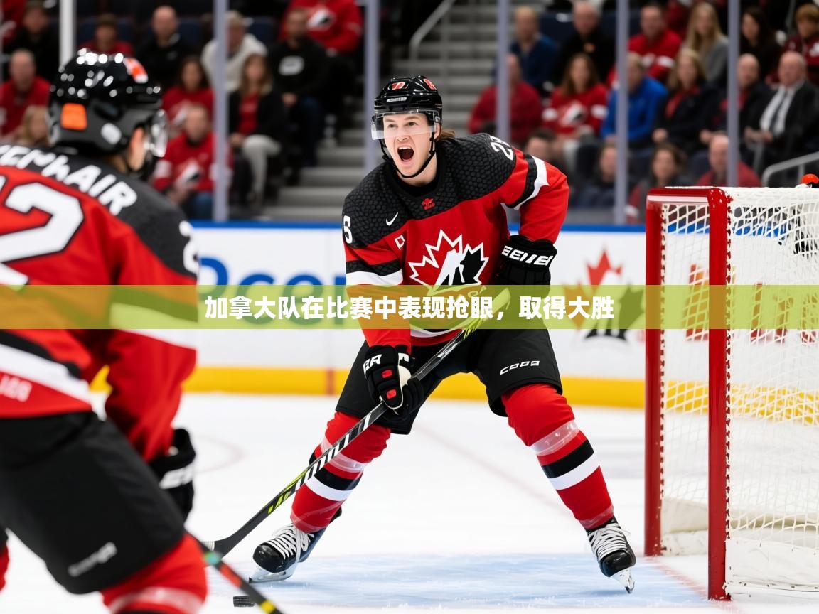 2025米兰体育平台登录入口加拿大队在比赛中表现抢眼，取得大胜