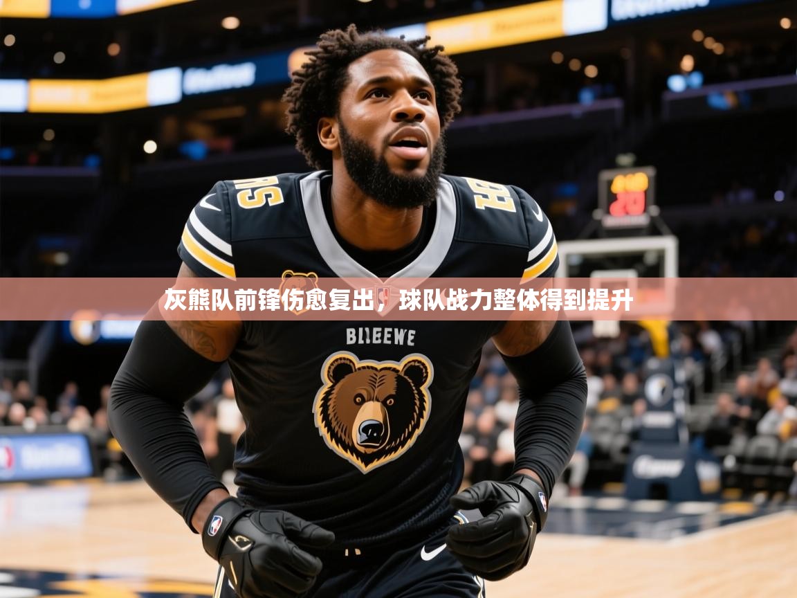 2025米兰体育平台怎么样灰熊队前锋伤愈复出，球队战力整体得到提升