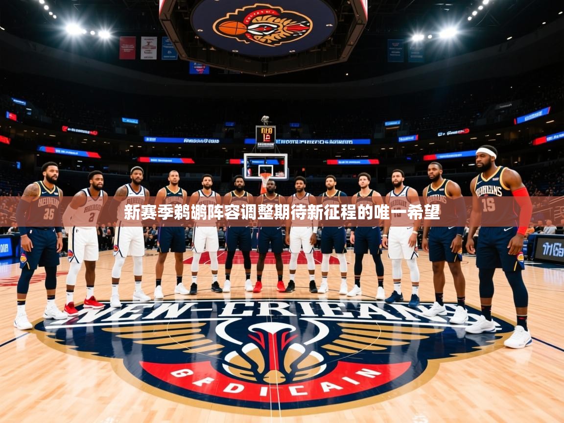 2025米兰体育网站优惠多新赛季鹈鹕阵容调整期待新征程的唯一希望