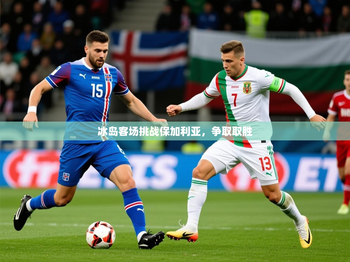 2026米兰体育网页版登录冰岛客场挑战保加利亚，争取取胜